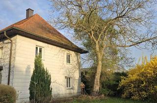 Haus kaufen in Landshuter Straße 24, 84166 Adlkofen, Geräumiges 6,5-Zimmer-Haus in Adlkofen