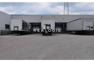 Gewerbeimmobilie mieten in 15713 Königs Wusterhausen, Logistikimmobilie mit 10 m UKB und ca. 3.940 m² Fläche an der A10!