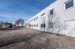 Gewerbeimmobilie mieten in Daimlerstraße 12, 78083 Dauchingen, Moderne Industriehalle zur Miete - ideal für Produktion & Gewerbe