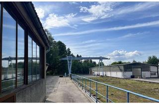 Gewerbeimmobilie kaufen in 02906 Niesky, Gewerbeanwesen im Dreiländereck DE / PL / CZ - Halle - Lager - Werkstatt - Produktion - Büro uvm.