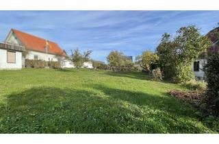 Grundstück zu kaufen in 06449 Aschersleben, Exklusives Baugrundstück in Aschersleben