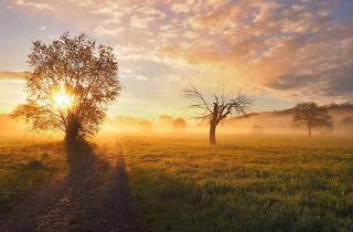 Grundstück zu kaufen in 63839 Kleinwallstadt, Schmuckes Grundstück in Hofstetten