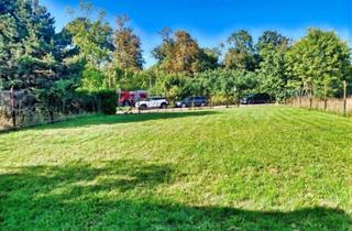 Grundstück zu kaufen in 06385 Aken, Attraktives Baugrundstück in ruhiger Lage