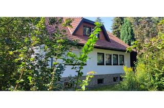 Einfamilienhaus kaufen in 38364 Schöningen, Schöninngen - EFH mit Einliegerwohnung und Parkgrundstück in Schöningen
