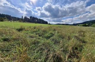 Grundstück zu kaufen in 78112 Langenschiltach, Baugrundstück mit Glasfaser-Option im Schwarzwald!