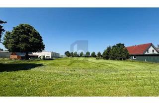 Grundstück zu kaufen in 19246 Zarrentin, LANDIDYLLE AM SCHAALSEE