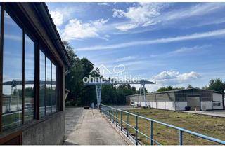 Gewerbeimmobilie kaufen in 02906 Niesky, Gewerbeanwesen im Dreiländereck DE / PL / CZ - Halle - Lager - Werkstatt - Produktion - Büro uvm.