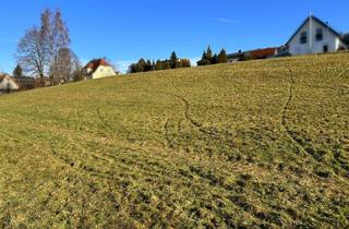 Immobilie kaufen in 91220 Schnaittach, Attraktives, großzügiges Grundstück in Schnaittach