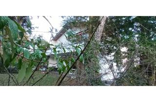 Garagen kaufen in 50999 Köln, Baugrundstück mit Altimmobilie und viel Potential in K.-Rodenkirchen