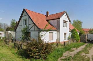 Doppelhaushälfte kaufen in 06429 Nienburg, Nienburg (Saale) - Doppelhaushälfte mit Grundstück 772 m², VERKAUF, MIETEN,MIETKAUF