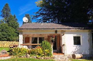 Haus kaufen in 54422 Neuhütten, Neuhütten - Wochenendhaus im Nationalpark - 2.650 m² Grundstück absolute Ruhe