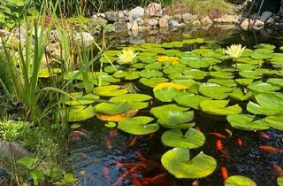 Einfamilienhaus kaufen in 06317 Seegebiet Mansfelder Land, Seegebiet Mansfelder Land - Gepflegtes Einfamilienhaus mit liebevoll angelegten Garten