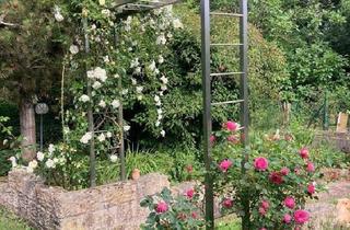 Einfamilienhaus kaufen in 96148 Baunach, Baunach - Einfamilienhaus mit Büro und großen Garten