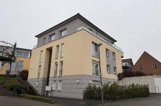 Wohnung kaufen in 76887 Bad Bergzabern, Erdgeschoss-Wohnung mit Privatgarten und Garage-nähe Stadtzentrum