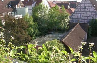 Wohnung mieten in Speckgasse, 71149 Bondorf, sonniges,ruhiges Wohnen im Dachgeschoss mit Stil und herrlichem Ausblick am Zentrum