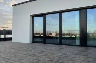Penthouse mieten in 18059 Südstadt, Penthouse - Campo Living - Südseite Hauptbahnhof - Dachterrasse - KfW Effizienzhaus 55