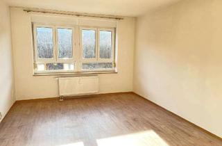 Wohnung mieten in 08248 Klingenthal, 2-Raum Wohnung mit Einbauküche in Klingenthal