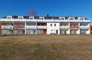 Wohnung mieten in 38524 Sassenburg, gemütliches 1 Zimmer Studioapartment mit Balkon