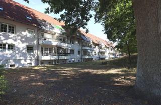 Wohnung mieten in 19288 Ludwigslust, Dachgeschosswohnung mit Balkon im Zentrum von Ludwigslust