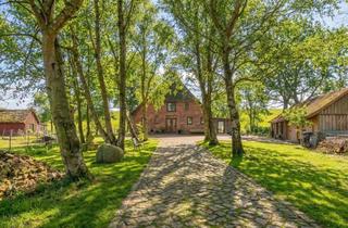Haus kaufen in 25572 Sankt Margarethen, Stilvolles Reetdachanwesen in direkter Elbdeichlage