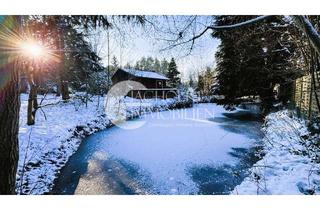 Haus kaufen in 29389 Bad Bodenteich, Ferienhaus am eigenen Teich – Naturidylle in Waldrandlage