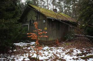 Haus kaufen in 21255 Tostedt, WOCHENENDHAUS MIT NEBENGEBÄUDE (STARK SANIERUNGSBEDÜRFTIG) IN IDYLLISCHER WALDLAGE