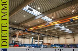 Gewerbeimmobilie mieten in 33758 Schloß Holte-Stukenbrock, Projektierte Gewerbehalle in Schloß Holte-Stukenbrock