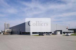 Gewerbeimmobilie mieten in 89340 Leipheim, Im Alleinauftrag: Logistikhalle in Leipheim