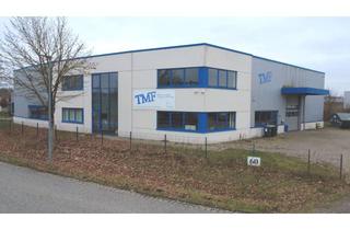 Büro zu mieten in Mercatorstraße 60, 21502 Geesthacht, Moderne Lager-/ Fertigungshalle mit Büro