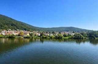 Anlageobjekt in 69151 Neckargemünd, Denkmalgeschütztes Ensemble in Wasserlage – Neckargemünd