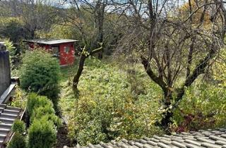 Grundstück zu kaufen in 78247 Hilzingen, Abrissgrundstück für Ihren Zukunftstraum (nur ca. 300m zum Edeka)