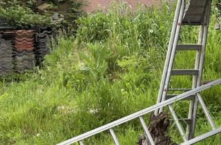 Grundstück zu kaufen in 64711 Erbach, Abrissgrundstück in toller Lage direkt am Feld