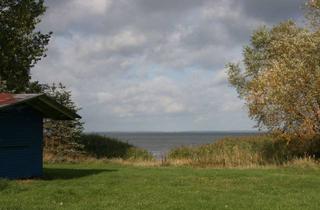 Gewerbeimmobilie kaufen in Ziegeleistraße 1a, 17373 Ueckermünde, 17.000 qm Grundstück mit Privatstrand am Stettiner Haff