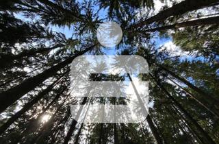 Gewerbeimmobilie kaufen in 92552 Teunz, Investieren Sie in Grund und Boden!