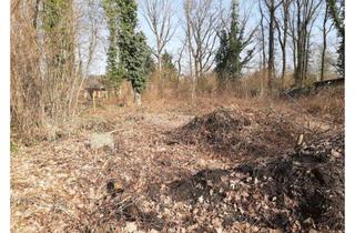 Grundstück zu kaufen in 01968 Senftenberg, Baugrundstück für ein Haus am Senftenberger See