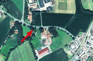 Grundstück zu kaufen in 49439 Steinfeld, Grundstücke in 49439 Steinfeld (Oldenburg)