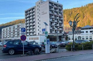 Wohnung kaufen in Todtmooser Straße, 79837 St. Blasien, 1 Zimmer, Eigentums WHG - St. Blasien, EK, Balkon, Zentral, Pool