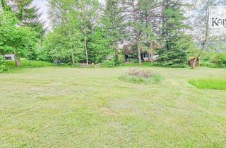 Grundstück zu kaufen in Steinernekreuzweg, 79737 Herrischried, Naturnah und gut erreichbar – ideal auch für Schweizer Wochenendnutzer (Flurst.940/30)