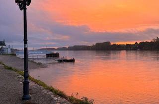 Wohnung mieten in Matthäus-Müller Platz, 65343 Eltville am Rhein, Barrierefreie 3 Zimmer Wohnung in der beliebten "Residenz Rheingauer Tor"