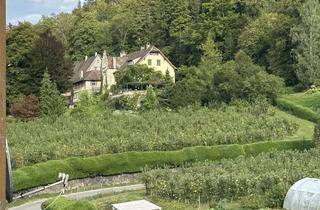 Wohnung mieten in 72172 Sulz, Helle 3-Zimmer-Wohnung mit Balkon in Sulz am Neckar, OT Hopfau