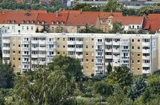 Wohnung mieten in Schützenplatz 29, 06712 Zeitz, Bezugsfertige 1-Raum-Wohnung mit tollem Ausblick