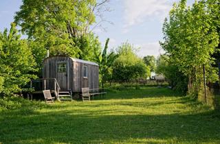 Haus mieten in Ruhmühlstraße 11, 74579 Fichtenau, Natur. Verantwortung. Geborgenheit: Wohnprojekt mit tiergestützter Eseltherapie