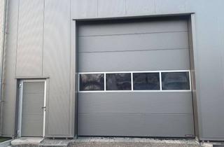 Büro zu mieten in Im Rohrbusch, 74939 Zuzenhausen, Hallenteil für Gewerbe mit Empore/Büro/ WC/Lager in Zuzenhausen