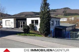 Gewerbeimmobilie kaufen in 58840 Plettenberg, Große Gewerbehalle mit Büro und Kfz-Stellplätzen in Plettenberg