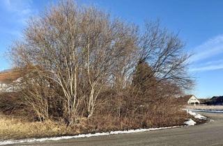 Grundstück zu kaufen in 82380 Peißenberg, Grundstück für ein Einzelhaus bis 3 WE / 3 Spänner/ Doppelhaus mit Bebauungsplan in Nähe der Ammer