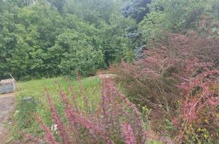 Grundstück zu kaufen in 54310 Ralingen, Bestpreisgarantie bei Bien-Zenker - Tolles Grundstück an der Luxemburger Grenze