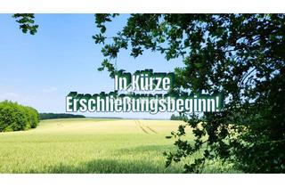 Immobilie kaufen in 23942 Dassow, Idyllische Baugrundstücke in Ostseenähe!