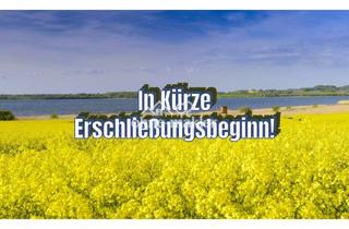 Immobilie kaufen in 23942 Dassow, Idyllische Baugrundstücke in Ostseenähe!
