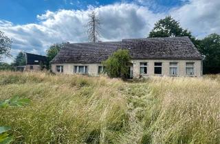 Haus kaufen in 17379 Ferdinandshof, Ferdinandshof - Provisionsfrei. Altes Landhaus mit 8000m2 Fläche