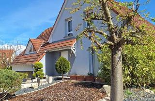 Einfamilienhaus kaufen in 76437 Rastatt, Rastatt - Lichtdurchflutetes Einfamilienhaus in ruhiger Toplage von Seltz (